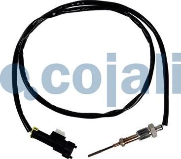 Cojali 2262657 - Devējs, Izplūdes gāzu temperatūra www.autospares.lv