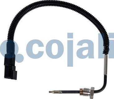 Cojali 2262065 - Devējs, Izplūdes gāzu temperatūra www.autospares.lv