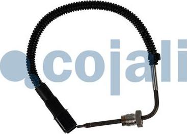 Cojali 2262015 - Devējs, Izplūdes gāzu temperatūra www.autospares.lv