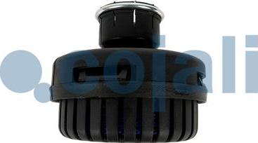 Cojali 2203109 - Silencer, compressed-air system www.autospares.lv