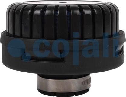 Cojali 2203103 - Silencer, compressed-air system www.autospares.lv