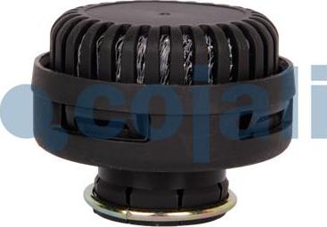 Cojali 2203102 - Silencer, compressed-air system www.autospares.lv