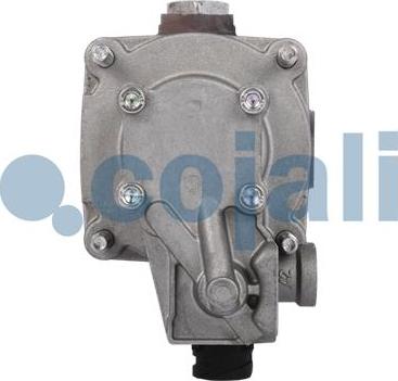 Cojali 2231200 - Paātrinātājvārsts www.autospares.lv