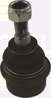 Comline CBJ7020 - Ball Joint www.autospares.lv