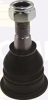 Comline CBJ7230 - Ball Joint www.autospares.lv