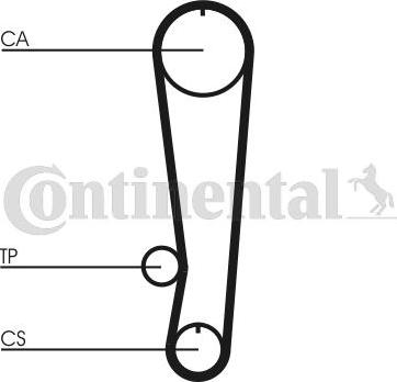 Contitech CT 808 - Зубчатый ремень ГРМ www.autospares.lv