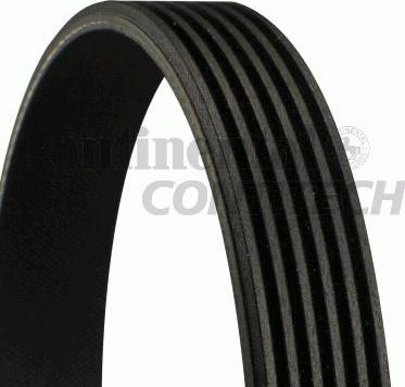 CONTINENTAL CTAM BR 6PK950 - Поликлиновой ремень www.autospares.lv