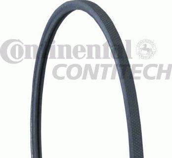 CONTINENTAL CTAM BR 2PJ800 - V-Ribbed Belt www.autospares.lv