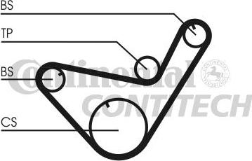 CONTINENTAL CTAM BR CT714 - Timing Belt www.autospares.lv