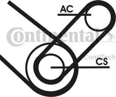 Continental 4PK874 ELAST T1 - Ķīļrievu siksna www.autospares.lv