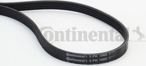 Contitech 5 PK 1960 - V-Ribbed Belt www.autospares.lv