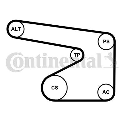 Continental 5PK1355WP1 - Ūdenssūknis + ķīļrievu siksnas komplekts www.autospares.lv