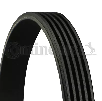 Contitech 5PK1360 - V-Ribbed Belt www.autospares.lv