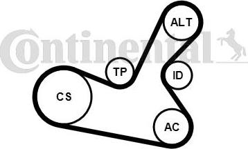 Contitech 5PK1300K1 - Ķīļrievu siksnu komplekts www.autospares.lv