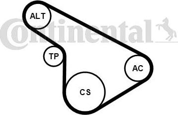 Contitech 5PK1212K1 - Ķīļrievu siksnu komplekts www.autospares.lv