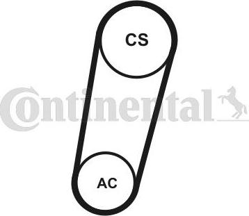 Contitech 5PK705ELASTT1 - Ķīļrievu siksnu komplekts www.autospares.lv