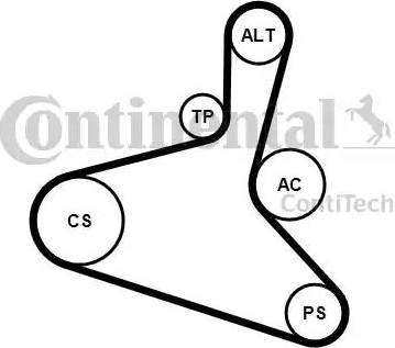 Continental 6DPK1195K1 - Ķīļrievu siksnu komplekts www.autospares.lv