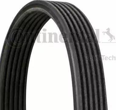 Continental 6DPK1195 - V-Ribbed Belt www.autospares.lv