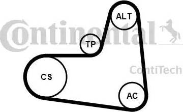 Continental 6PK995K1 - Ķīļrievu siksnu komplekts www.autospares.lv