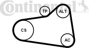 Contitech 6PK905 EXTRA K1 - Ķīļrievu siksnu komplekts www.autospares.lv