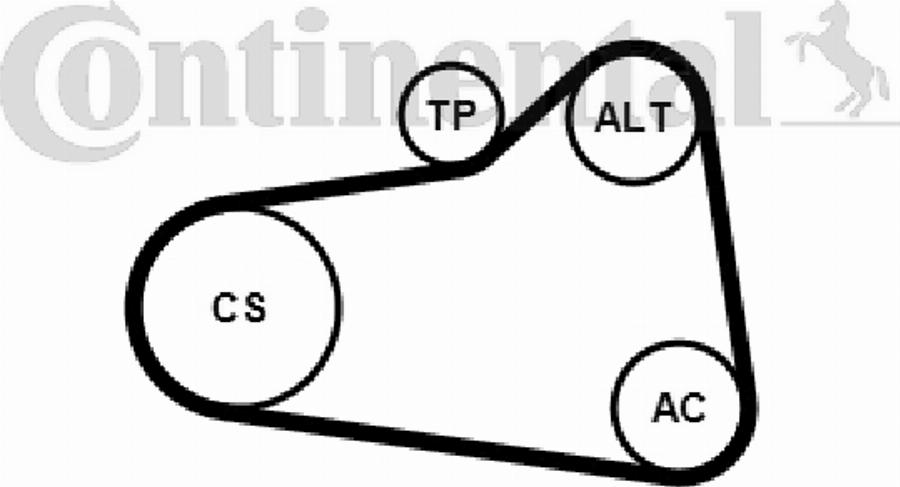 Contitech 6PK906K2 - Ķīļrievu siksnu komplekts www.autospares.lv