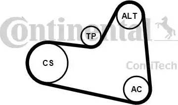 Continental 6PK976K1 - Ķīļrievu siksnu komplekts www.autospares.lv