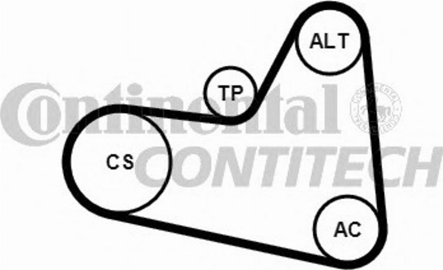 Contitech 6PK976K2 - Ķīļrievu siksnu komplekts www.autospares.lv