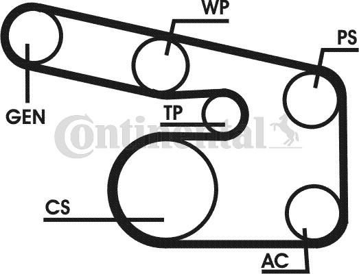 Contitech 6PK1900D1 - Ķīļrievu siksnu komplekts www.autospares.lv