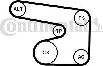 Contitech 6PK1900K1 - V-Ribbed Belt Set www.autospares.lv