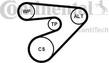 Continental 6PK1453K2 - Ķīļrievu siksnu komplekts www.autospares.lv