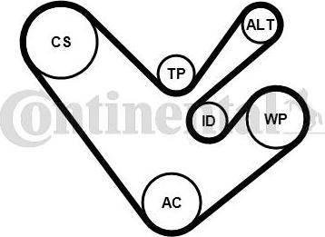 Contitech 6PK1555K4 - Поликлиновый ременный комплект www.autospares.lv