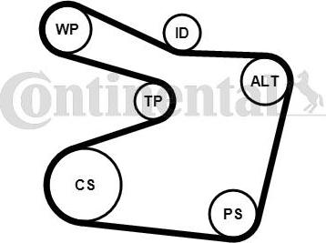 Contitech 6PK1555WP1 - Ūdenssūknis + ķīļrievu siksnas komplekts www.autospares.lv