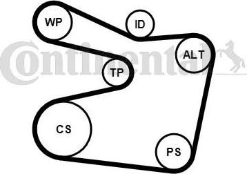 CONTITECH 6PK1555WP2 - Ūdenssūknis + ķīļrievu siksnas komplekts www.autospares.lv