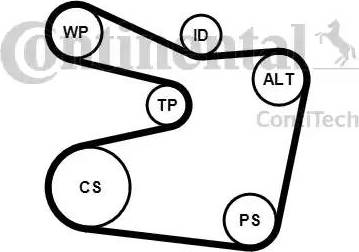 Continental 6PK1555K2 - Ķīļrievu siksnu komplekts www.autospares.lv