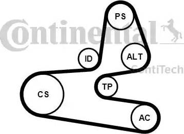 Continental 6PK1564K1 - Ķīļrievu siksnu komplekts www.autospares.lv