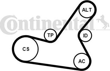 Contitech 6PK1564K2 - Поликлиновый ременный комплект www.autospares.lv