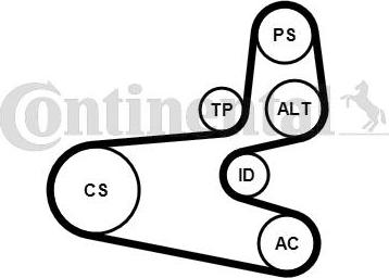 Contitech 6PK1560K1 - Поликлиновый ременный комплект www.autospares.lv