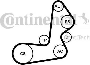 Continental 6PK1515K1 - Ķīļrievu siksnu komplekts www.autospares.lv