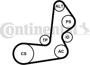 Contitech 6PK1515K1 - Поликлиновый ременный комплект www.autospares.lv