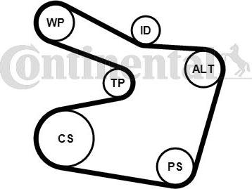 Contitech 6PK1538WP2 - Ūdenssūknis + ķīļrievu siksnas komplekts www.autospares.lv