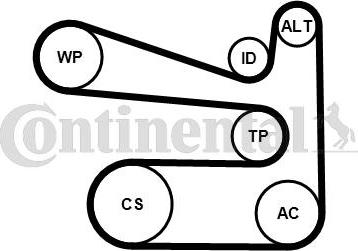 Contitech 6PK1693K1 - V-Ribbed Belt Set www.autospares.lv