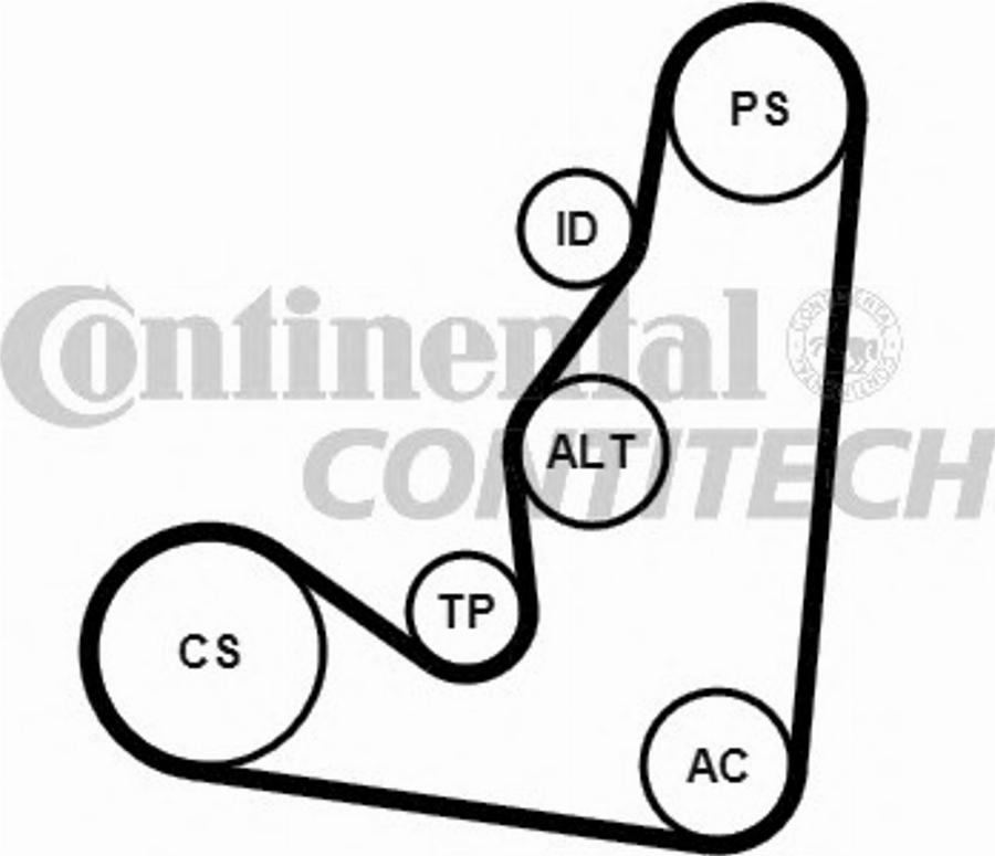 Contitech 6PK1660K4 - Натяжитель, поликлиновый ремень www.autospares.lv