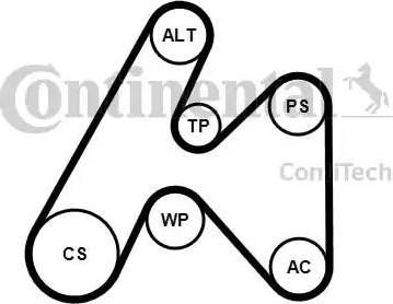 Continental 6PK1660K3 - Ķīļrievu siksnu komplekts www.autospares.lv