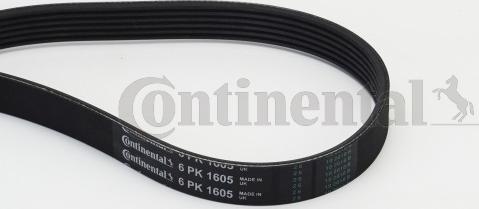 Contitech 6PK1605 - V-Ribbed Belt www.autospares.lv