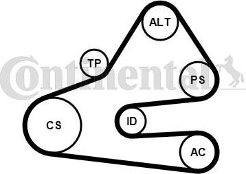 Contitech 6 PK 1613 K1 - Ķīļrievu siksnu komplekts www.autospares.lv