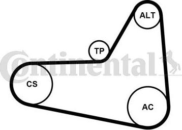 Contitech 6PK1054K1 - Ķīļrievu siksnu komplekts www.autospares.lv