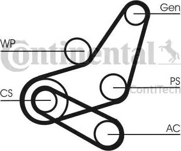 Continental 6PK1059 ELAST T2 - Ķīļrievu siksnu komplekts autospares.lv