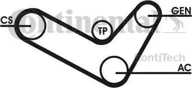 Continental 6PK1050D2 - Ķīļrievu siksnu komplekts autospares.lv