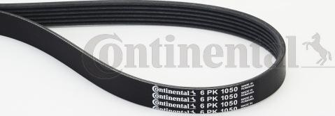 Contitech 6PK1050 - V-Ribbed Belt www.autospares.lv