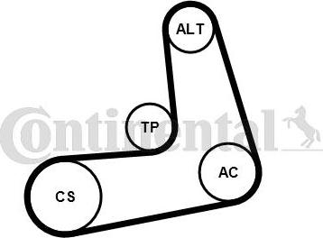 Contitech 6PK1005K2 - Ķīļrievu siksnu komplekts www.autospares.lv